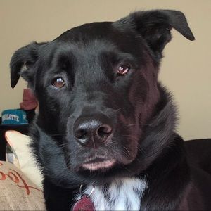 Meet your Posher, Verda